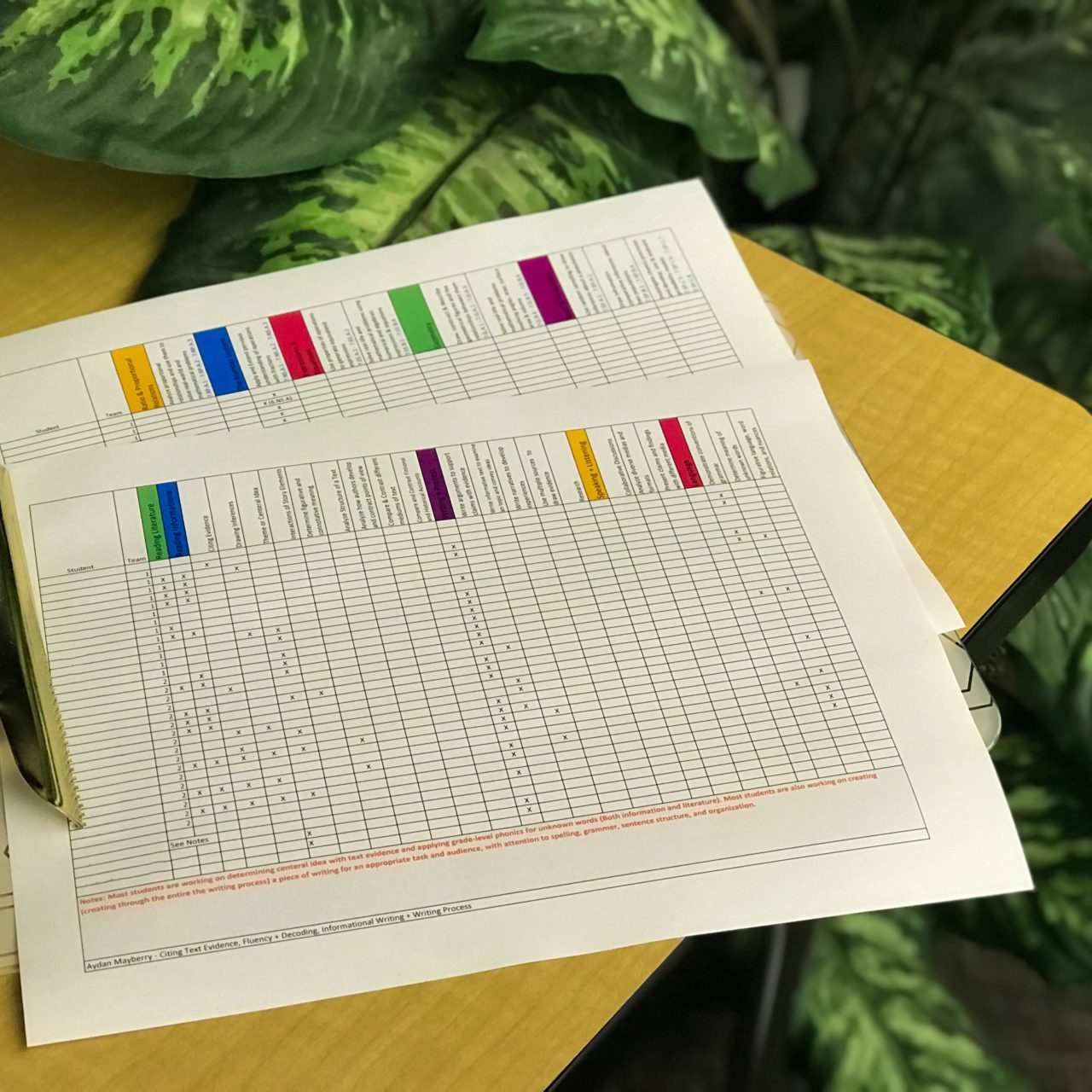 IEPs at a Glance? No Thank You.