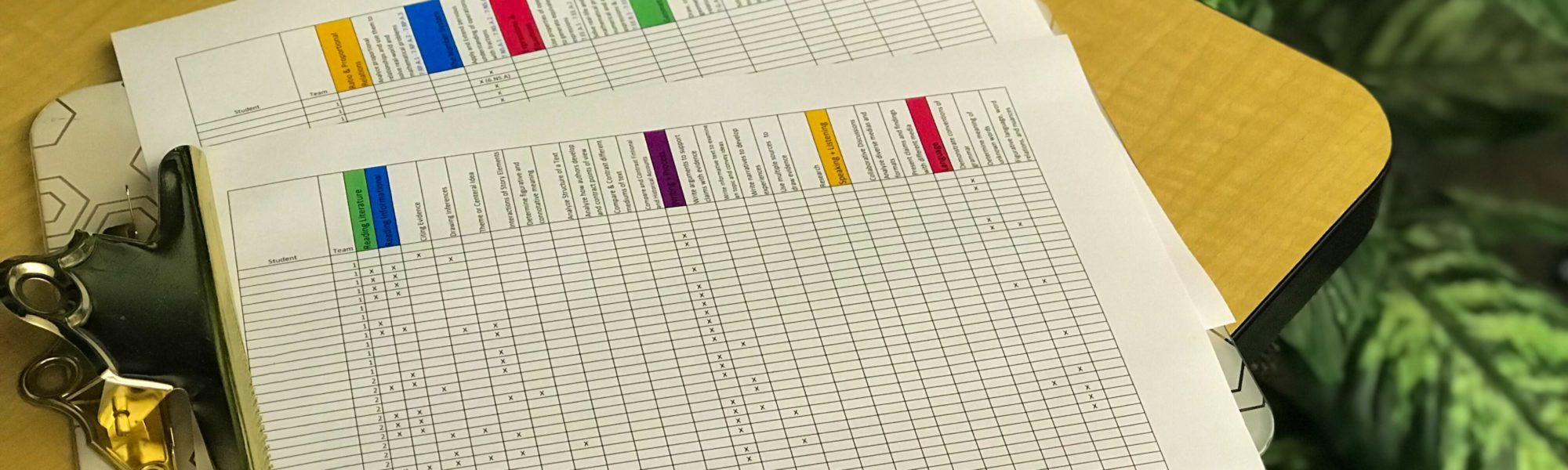 IEPs at a Glance? No Thank You.
